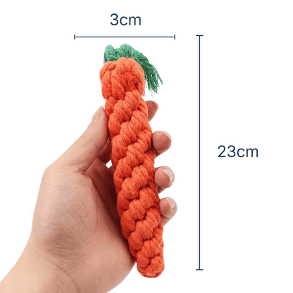 La carotte à mâcher : LE JOUET qui prend soin de votre chien!