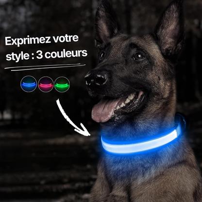 Collier LED Alpine™ : Sécurité de Nuit