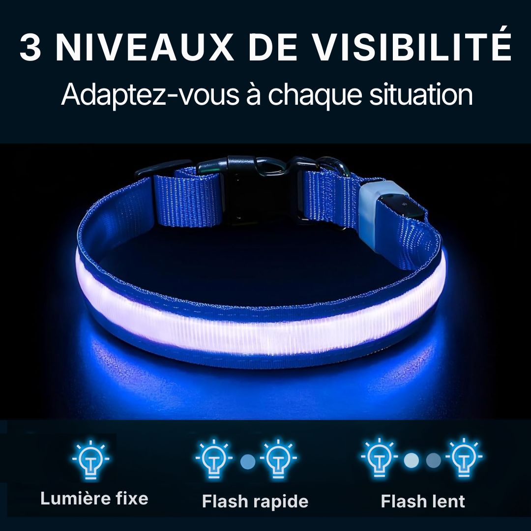 Collier LED Alpine™ : Sécurité de Nuit