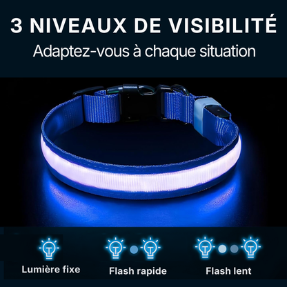 Collier LED Alpine™ : Sécurité de Nuit
