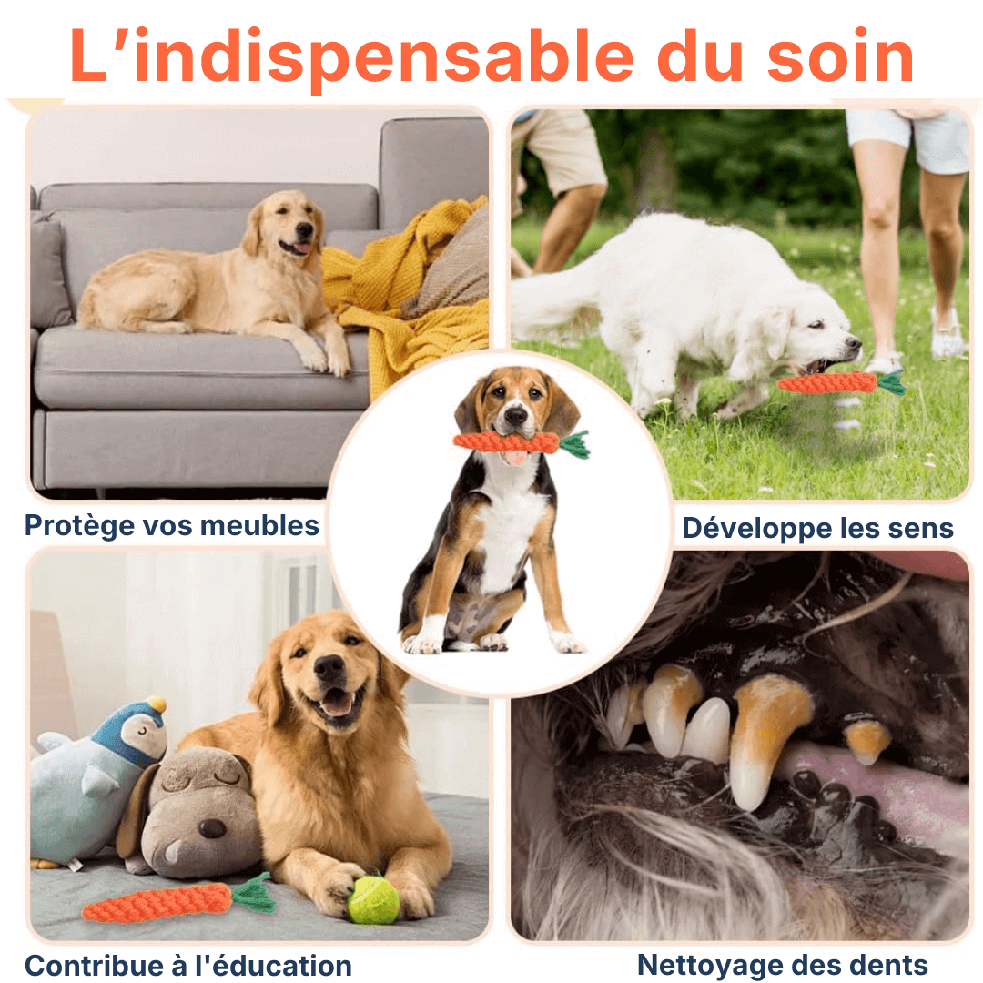 La carotte à mâcher : LE JOUET qui prend soin de votre chien!