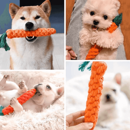 La carotte à mâcher : LE JOUET qui prend soin de votre chien!