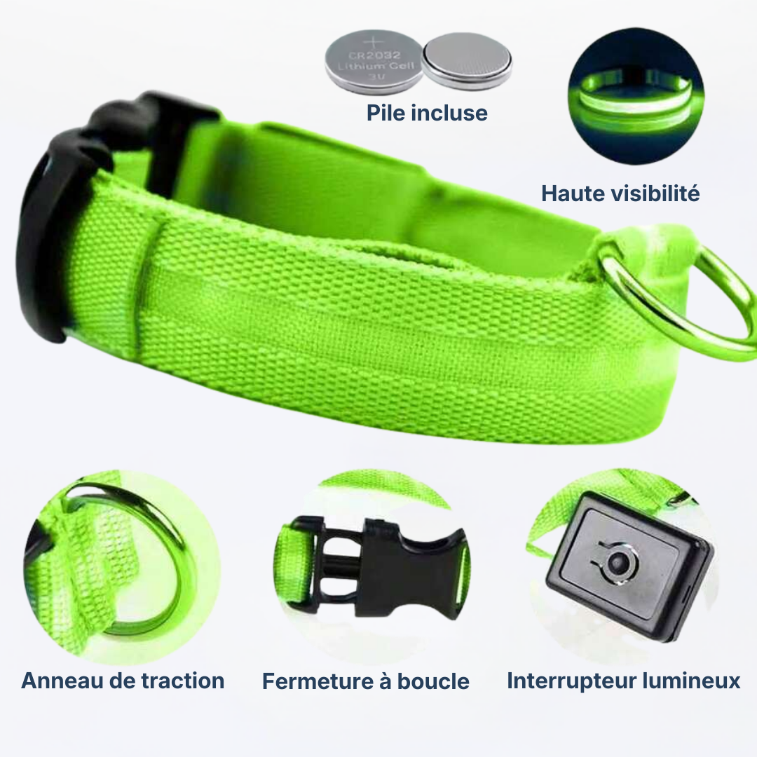 Collier LED Alpine™ : Sécurité de Nuit