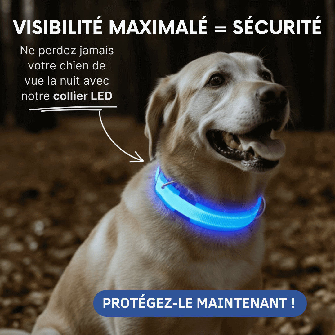 Collier LED Alpine™ : Sécurité de Nuit