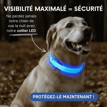 Collier LED Alpine™ : Sécurité de Nuit