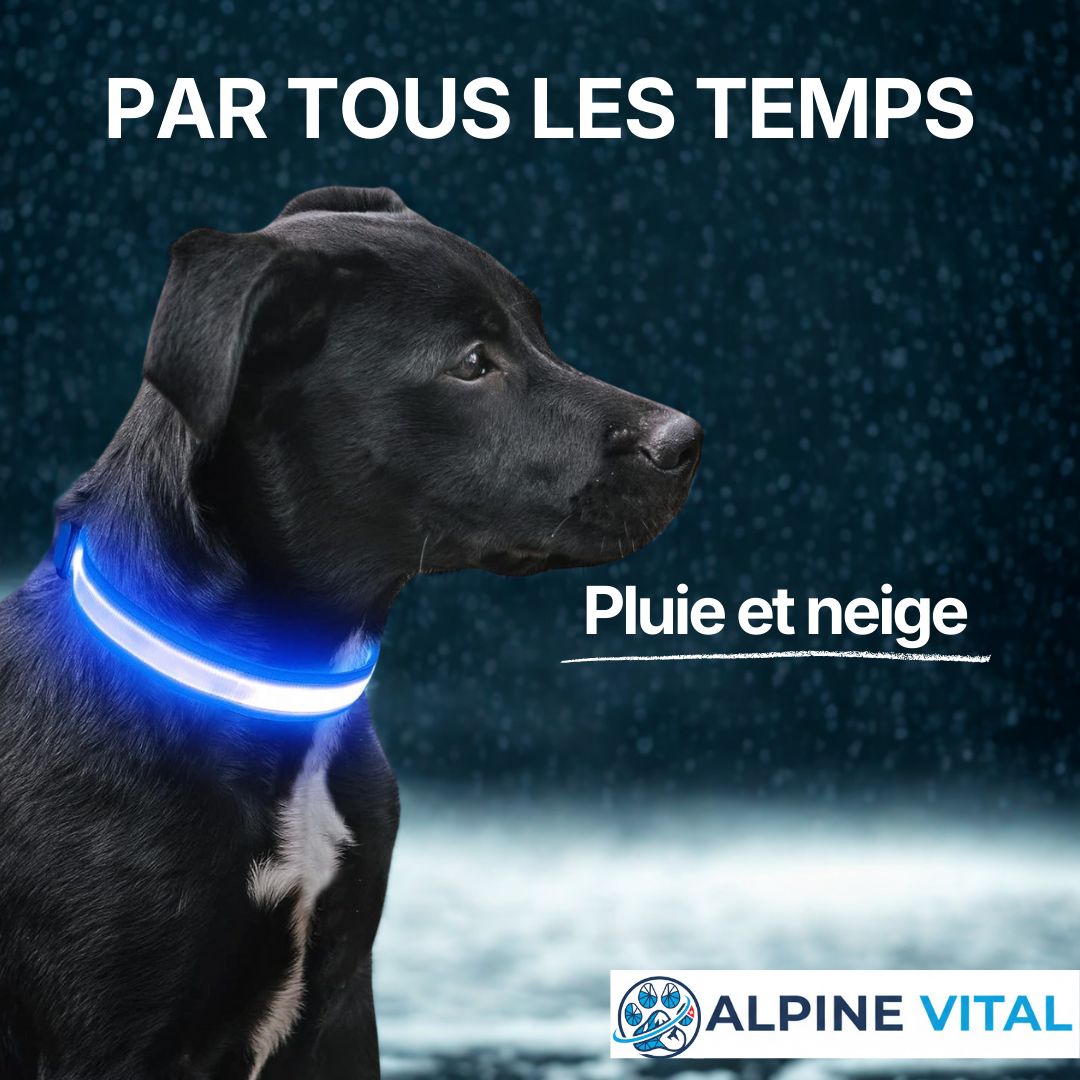 Collier LED Alpine™ : Sécurité de Nuit