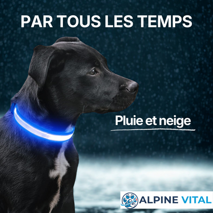 Collier LED Alpine™ : Sécurité de Nuit