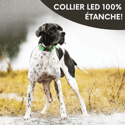 Collier LED Alpine™ : Sécurité de Nuit