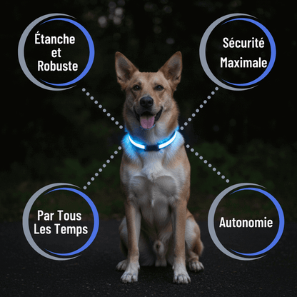 Collier LED Alpine™ : Sécurité de Nuit