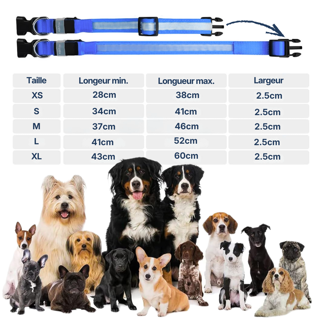 Collier LED Alpine™ : Sécurité de Nuit