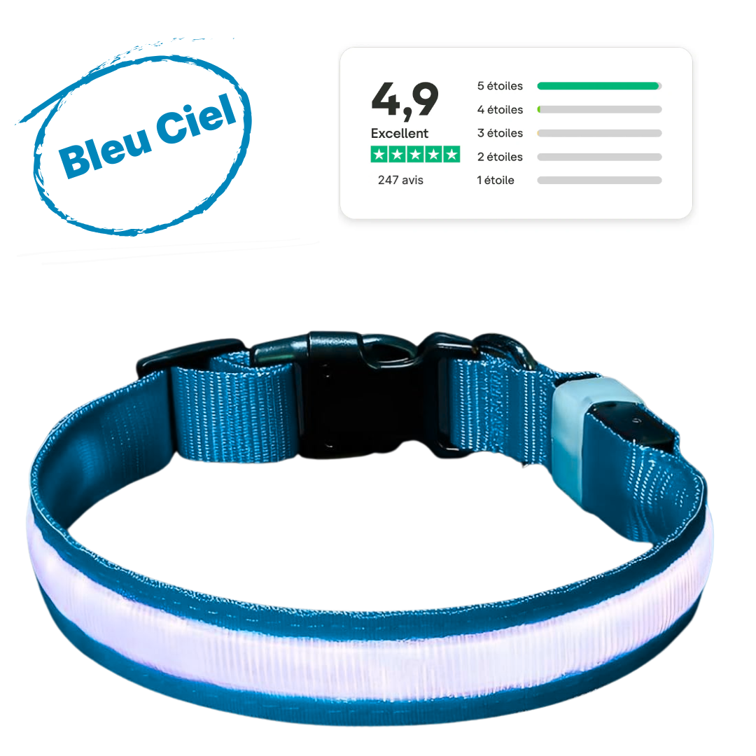 Collier LED Alpine™ : Sécurité de Nuit
