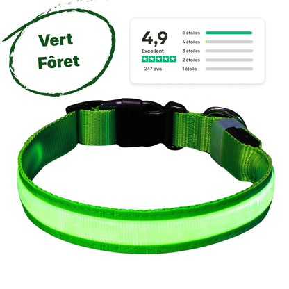 Collier LED Alpine™ : Sécurité de Nuit