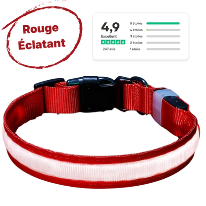 Collier LED Alpine™ : Sécurité de Nuit